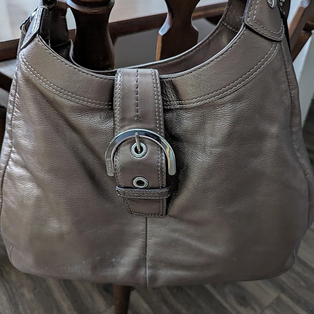 Chic Coach Metallic Taupe Leather Hobo Bag